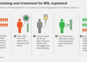 How Lifestyle Impacts MS Treatment Effectiveness: A Comprehensive Guide